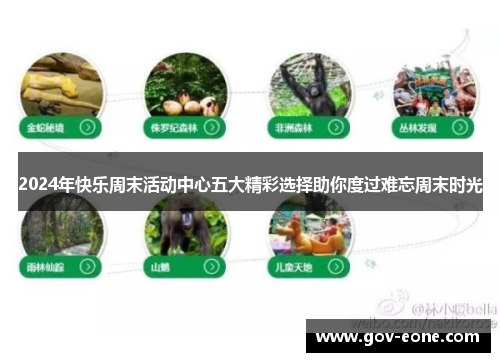 2024年快乐周末活动中心五大精彩选择助你度过难忘周末时光